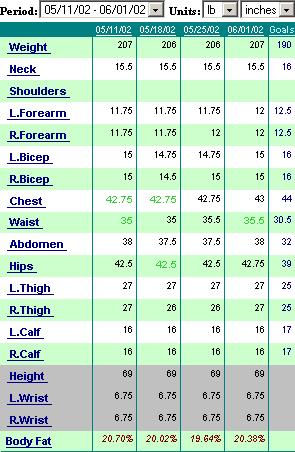 Average Bicep Size Chart